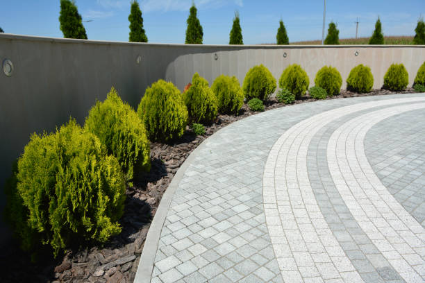 Best Driveway Pavers Near Me  in Buckeystown, MD