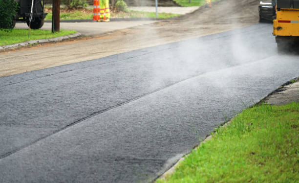 Best Professional Driveway Pavers  in Buckeystown, MD